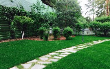 Обустройство и уход за придомовым газоном