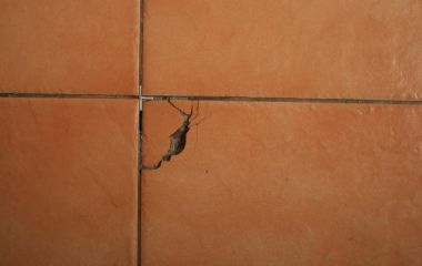 Чем заделать сколы на плитке: полезные советы и способы реставрации без замены кафеля